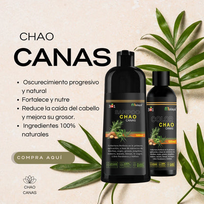 SHAMPOO CERO CANAS